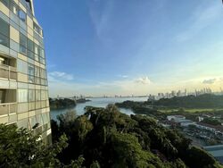 Reflections At Keppel Bay (D4), Condominium #539398651
